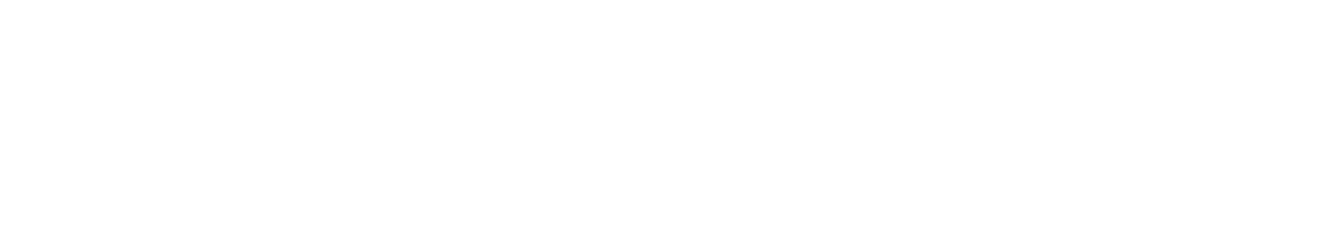 DNS GROUP